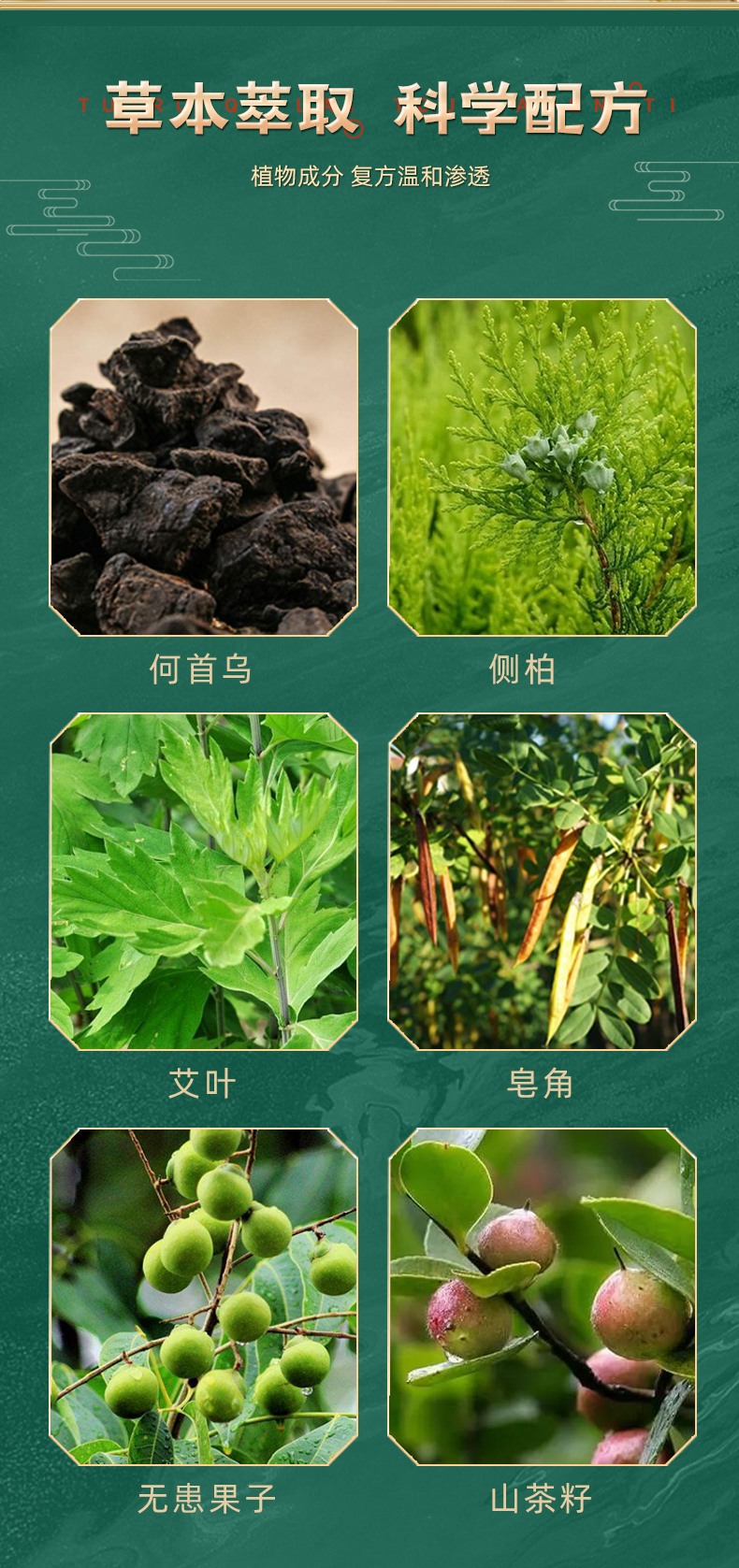 植物养发保健粉